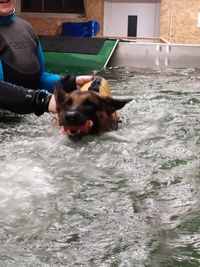 Hundeschwimmbad Stegaurach