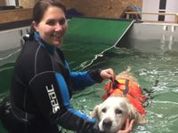 Hundeschwimmbad in Stegaurach